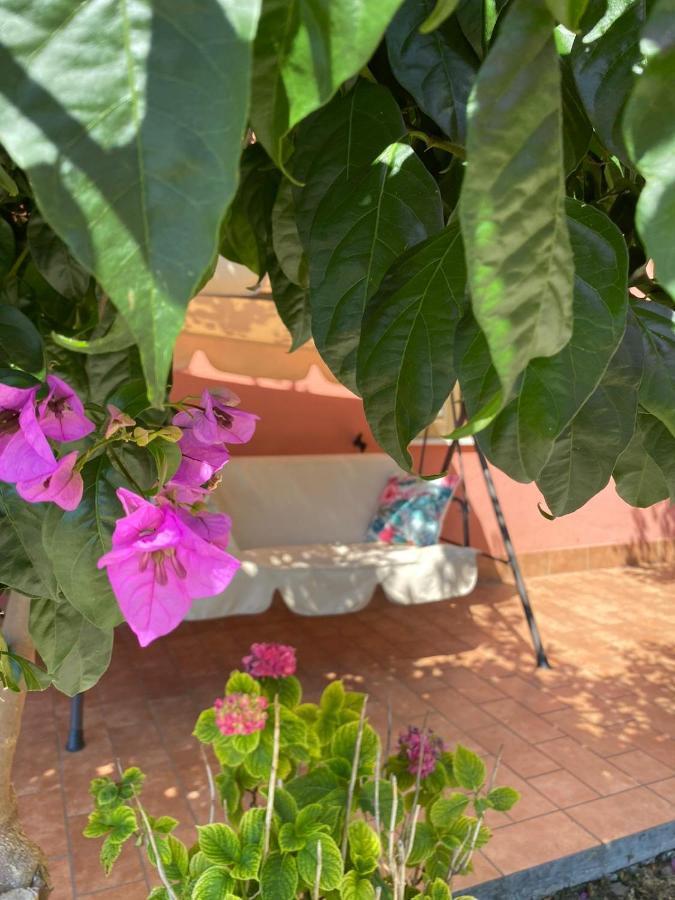 B&B Santa Lucia Silvi Paese Экстерьер фото