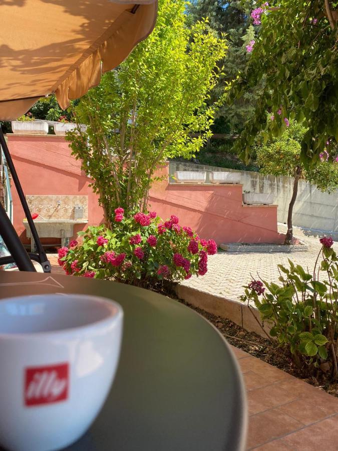 B&B Santa Lucia Silvi Paese Экстерьер фото